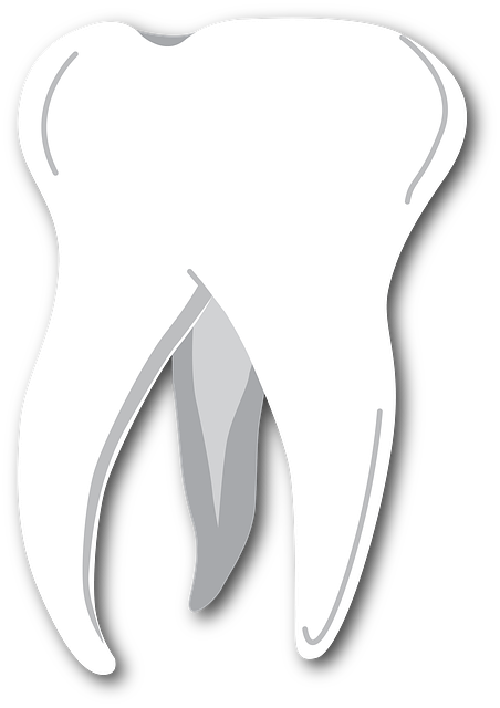 bílý zub